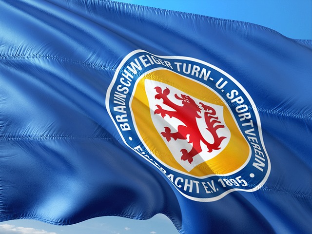 我国的游泳
